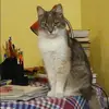 Отзыв от Екатерина Барсукова